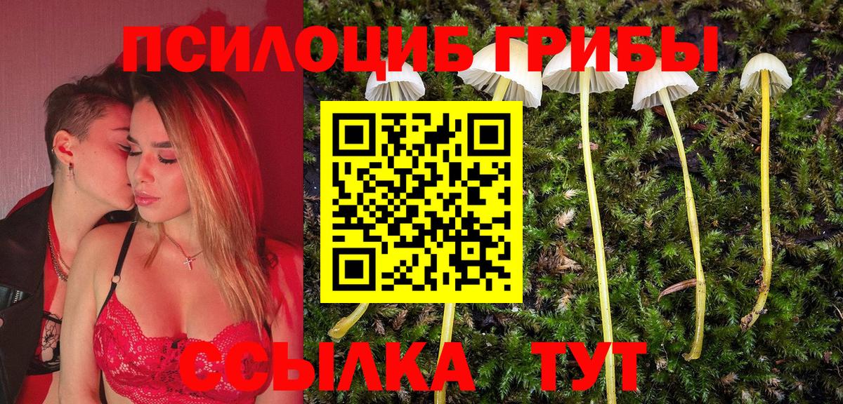 Галлюциногенные грибы Cubensis  закладки  Пенза  Вход с VPN  Псилоцибиновые грибы Magic Shrooms 